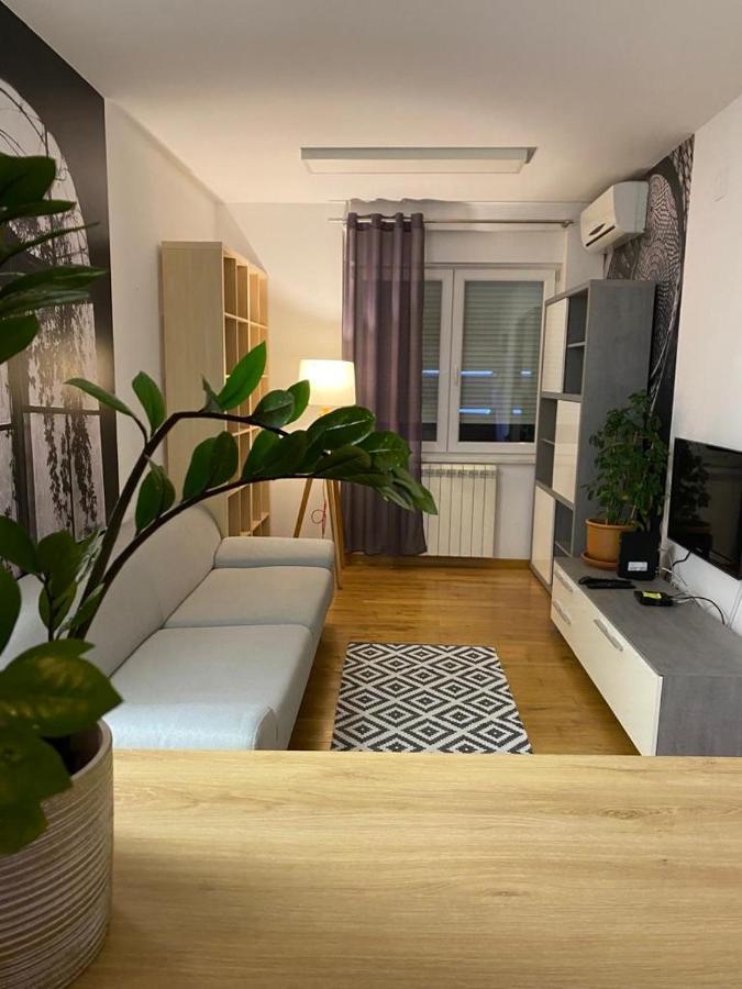 Benvenuti Apartments Belgrade Luaran gambar